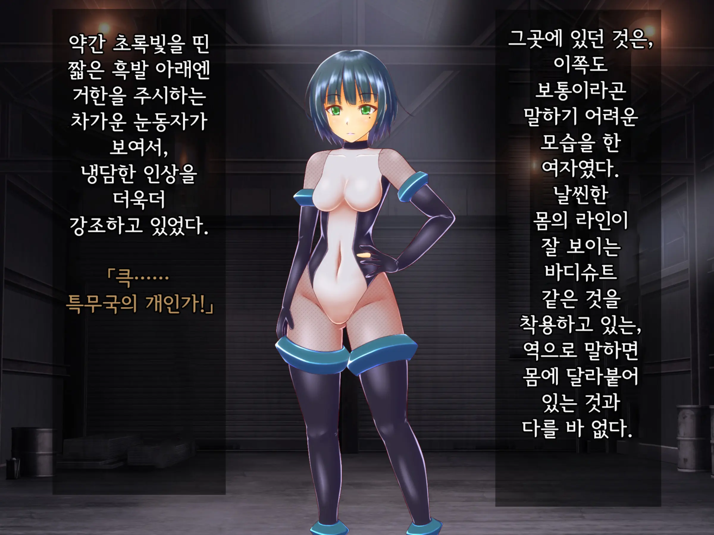 Taima Sousakan Hazuki ~Ingoku No Sennou Kaizou~ | 퇴마수사관 하즈키 ~음옥의 세뇌개조~